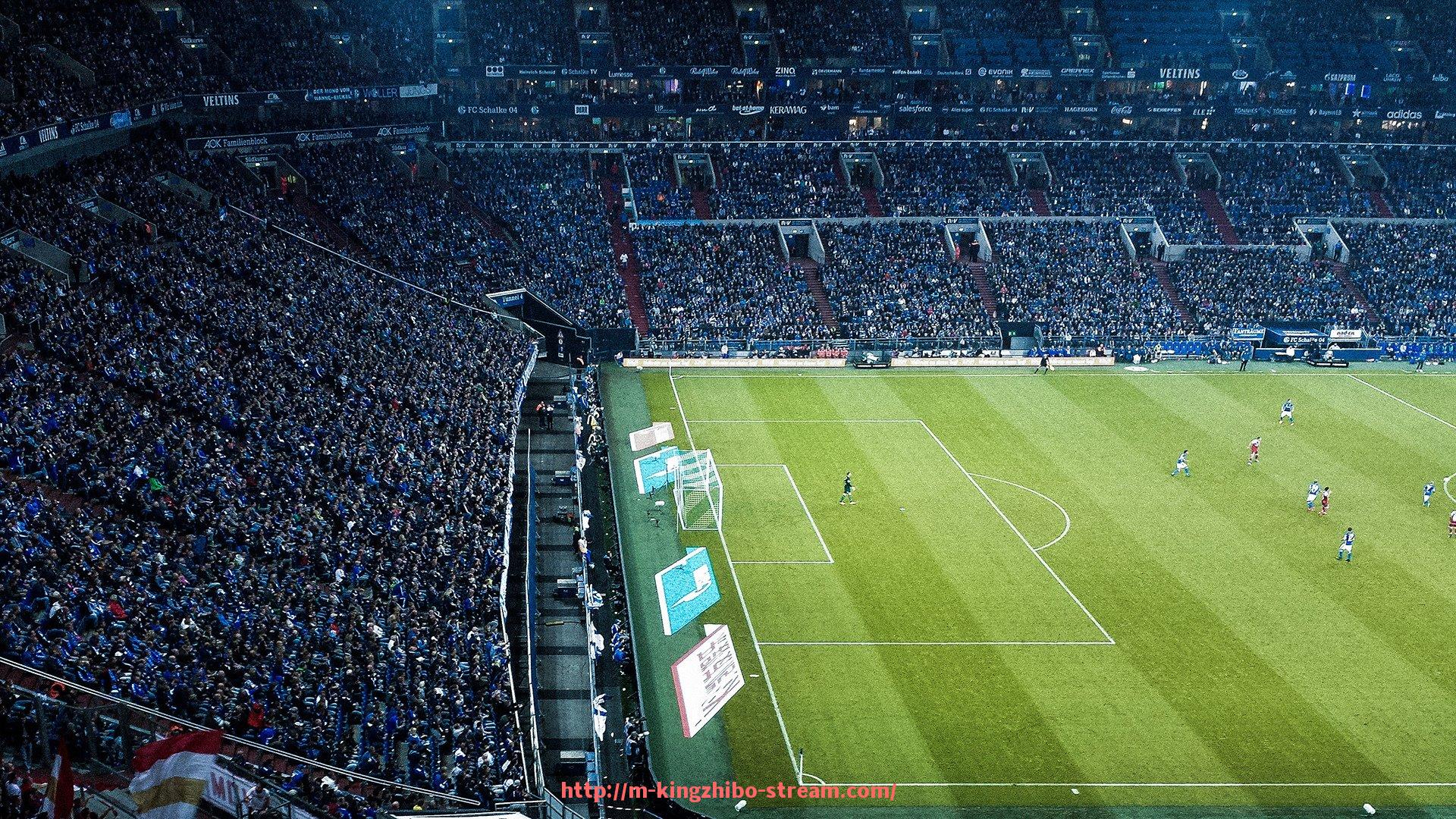 王者体育直播-德甲各支球队拥有的死忠球迷群体分析